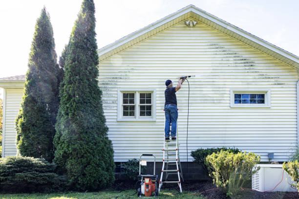 Professional Pressure Washing Services in Lacombe, LA